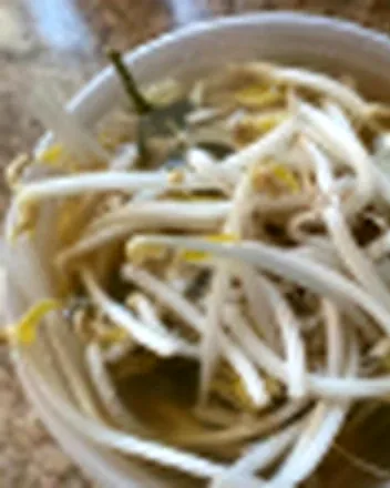 Noodle Soups at Sunset Thai Restaurant Pismo Beach
